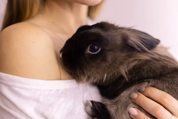抱着可爱毛茸茸的兔子 动物和宠物的女人 — 图库照片