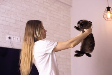 Tüylü tavşan, hayvan ve evcil hayvanı tutan kadın.