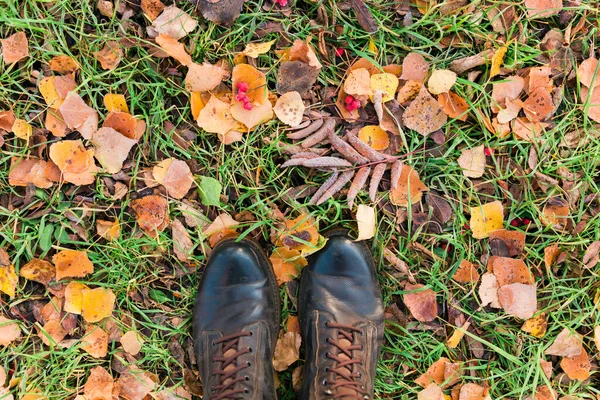 Туфли Сверху Осенней Лесной Земле Обрезками Листьями Падающими Грунтовый Ландшафт — стоковое фото