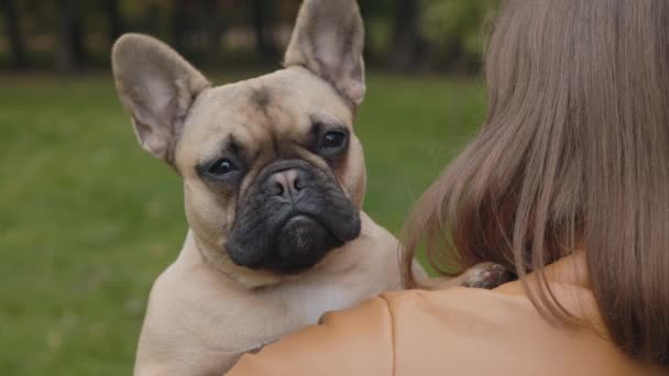 Pandangan belakang wanita memegang bulldog Perancis di luar ruangan — Stok Video