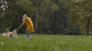 Mutlu kadın ve Fransız av köpeği Puller 'la oynuyor.