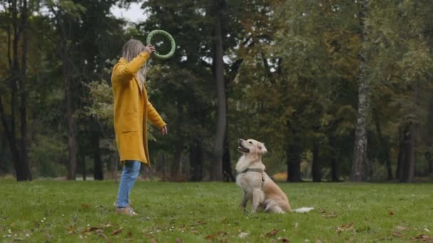 Donna caucasica utilizzando estrattore per giocare con il cane al parco — Video Stock