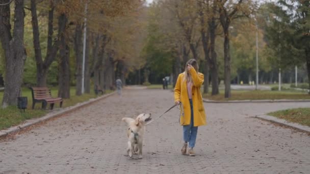 Kvinnan går i stadsparken med sin franska retriever — Stockvideo