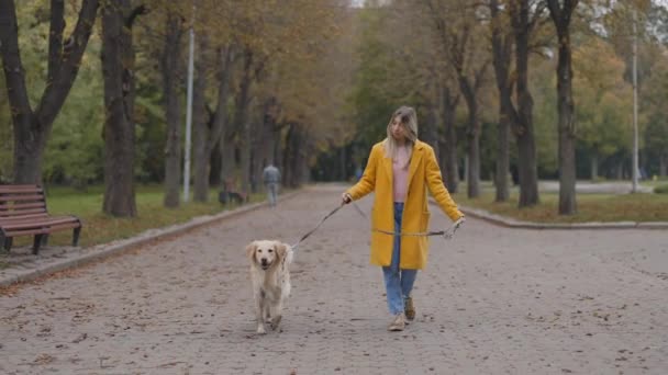 Mujer usando correa para pasear con su perro en el parque — Vídeos de Stock