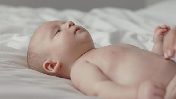 Pretty newborn boy getting stomach massage by mother — Wideo stockowe