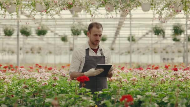 Seradaki Portre Erkek Çalışanı Dijital Tablete Alıyor Çiftçi Bilgisayar Kullanıyor — Stok video