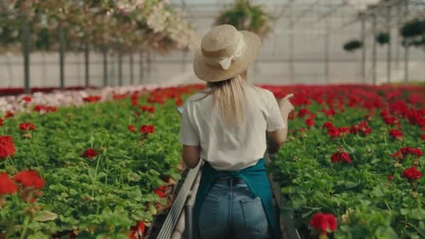 Back View Caucasian Female Worker Walks Plantation Inspects Flowers People — ストック動画