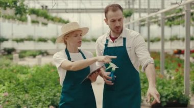 Birkaç bahçıvan yeşil evin içinde yürüyorlar. Tableti tutan kadın işçi erkek işçiyle çiçekleri sayıyor ve elinde sulama spreyi tutuyor. Halk ve meslek kavramı