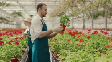 Bahçe işçileri çalışıyor. Erkek işçi çiçeği dişi bahçıvana gösteriyor. Kadın işçi dijital tablet kullanıyor ve erkek ona bir çiçek gösteriyor. Küçük işletme