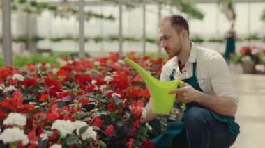 Florist working in green garden. Male worker taking a watering can and watering flowers on the blurred background. People and professions concept