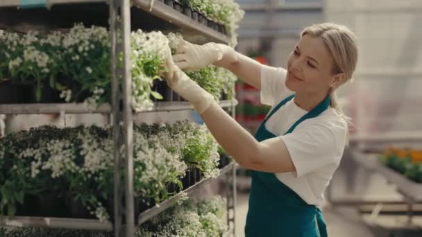 Happy Female Gardener Takes Care White Flowers Female Standing Cart — Stock video