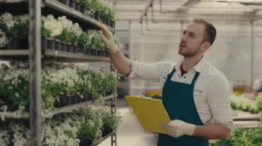 Erkek bahçıvan çiçekleri sayıyor ve çiçekçide el arabasının yanında duruyor. İnsanlar, girişimcilik ve iş konsepti