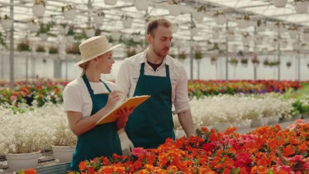 Κηπουροί Εξετάζουν Λουλούδι Στο Ανθοπωλείο Άντρας Κρατάει Και Ερευνά Λουλούδι — Αρχείο Βίντεο