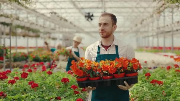 Erkek Elinde Bir Kutu Çiçekle Çiçek Bahçesinde Yürüyordu Kendi Çiçekçi — Stok video
