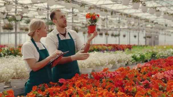 Bahçe Işçileri Bahçe Merkezindeki Bitkileri Tartışıyor Çiçek Mansurvey Kadın Bilgileri — Stok video