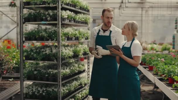 庭の労働者のカップルは花と温室で働いています 労働者はバーコードスキャナを使用して植物のアカウントを保持します 中小企業経営者 人と職業の概念 — ストック動画