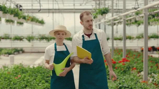 Dois Jardineiros Estão Passar Pela Estufa Falar Uns Com Outros — Vídeo de Stock