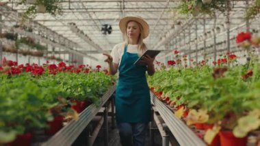 Kadın bahçıvan çiçekçide sıra sıra duruyor ve bahçe işleriyle uğraşıyor. Sera. Küçük bir iş. Halk ve meslek kavramı