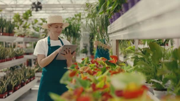 Γυναίκα Κηπουρός Στέκεται Στο Θερμοκήπιο Λουλούδια Γράφει Πληροφορίες Σχετικά Την — Αρχείο Βίντεο