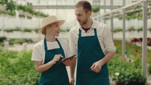Gartenarbeiter Erzählen Davon Wie Sie Mit Blumen Gewächshaus Durch Die — Stockvideo