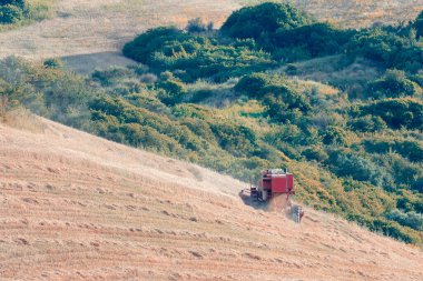 Gecenin ilerleyen saatlerinde, tepe arazisinde çalışırken bir toz bulutu yaratan bir biçerdöver görüntüsü. Resimde hasat edilmeyi bekleyen bir sürü alan var.