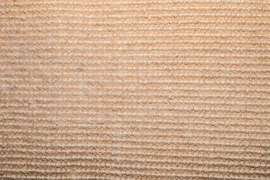 Posta paspasını tırmalayan kenevir kedisine yaklaş.