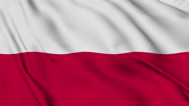 Bandera República Polonia Ondeando Suavemente Viento Imágenes Alta Calidad — Vídeos de Stock