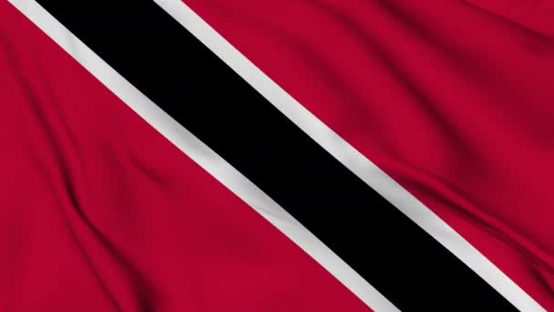Trinidad Tobago Cumhuriyeti Bayrağı Rüzgarda Hafifçe Sallanıyor Yüksek Kalite Görüntü — Stok video