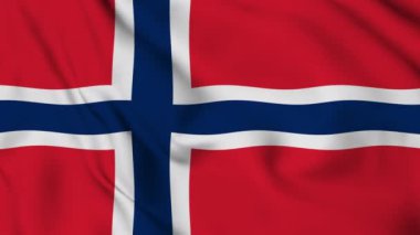 Svalbard 'ın bayrağı Jan Mayen rüzgarda dalgalanıyor. Yüksek kalite 4k görüntü