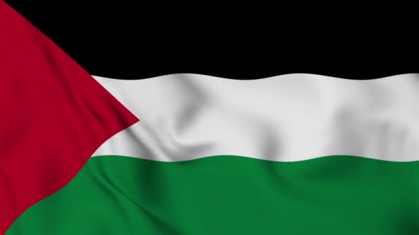 Vlajka Státu Palestina Vlála Větru Vysoce Kvalitní Záběry — Stock video