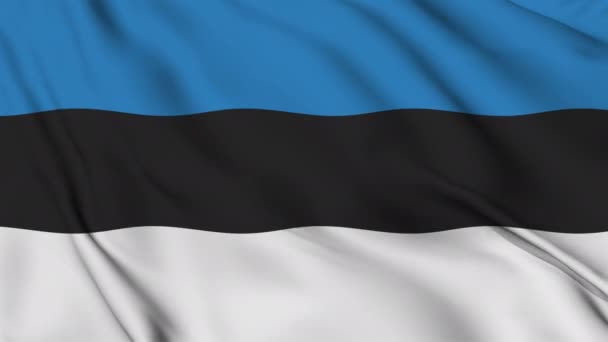 Flag Republic Estonia Gently Waving Wind — Stok video