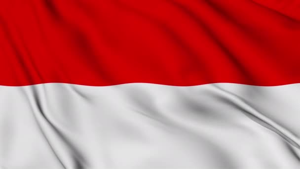 Vlajka Indonéské Republiky Jemně Vlaje Větru — Stock video