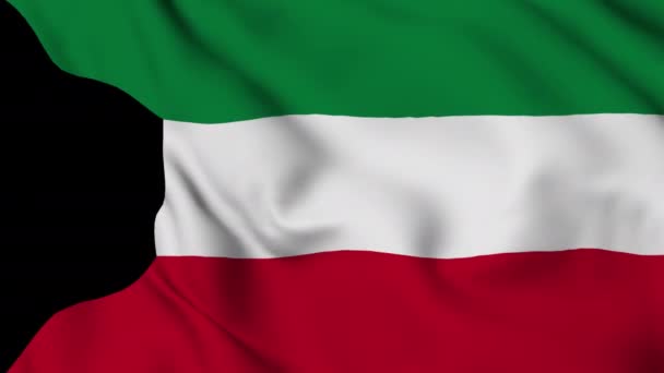 Flag State Kuwait Fluttering Wind High Quality Footage — Stock videók