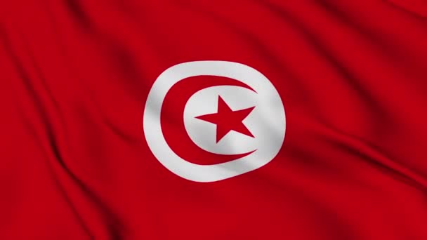 Zászló Tunéziai Köztársaság Gyengéden Integetett Szélben — Stock videók