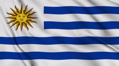 Doğu Uruguay Cumhuriyeti bayrağı usulca dalgalanır