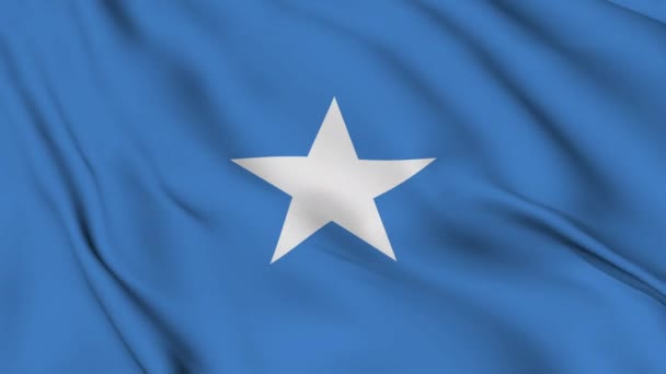 Somali Federal Cumhuriyeti Bayrağı Usulca Rüzgarda Sallanıyor — Stok video