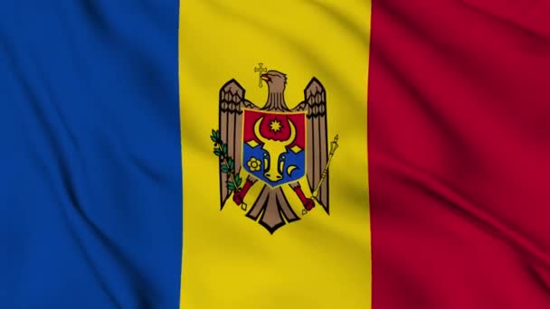 Flaga Republiki Mołdawii Oznacza Pojęcie — Wideo stockowe
