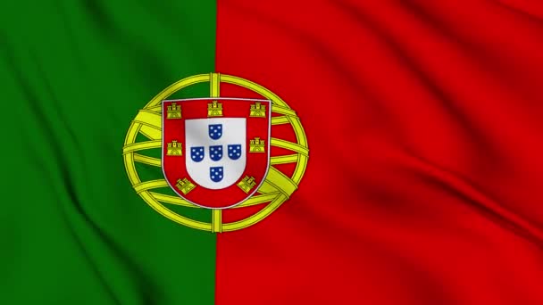 Vlag Van Portugese Republiek Zachtjes Wapperend Wind — Stockvideo