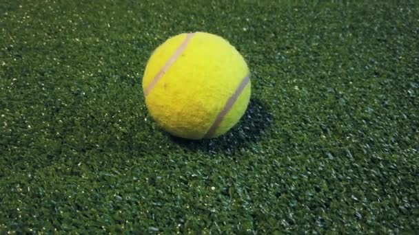 Tennis Ball Artificial Turf Field High Quality Footage — Stock Video