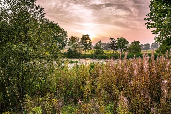 Kleiner Teich Mit Sumpfgräsern Bei Sonnenuntergang Nostell Priory Der Nähe — Stockfoto