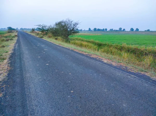 Piękny Widok Indyjskiej Wsi Old Road Trees Farm — Zdjęcie stockowe