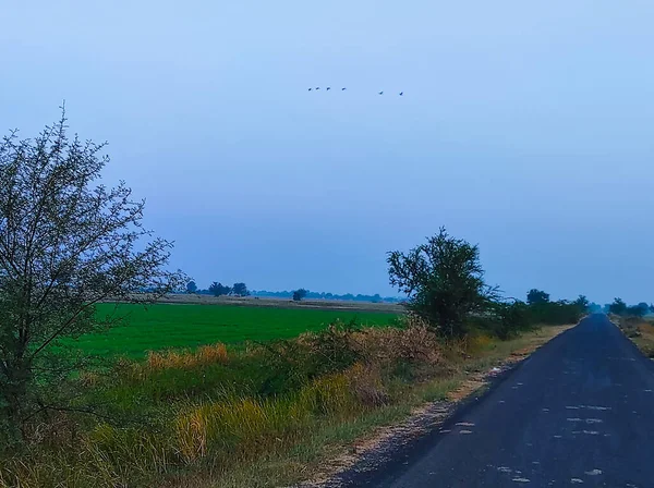 Beautiful View Indian Village Old Road Birds Trees Farm — Stock Photo, Image