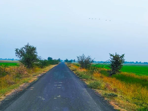 Beautiful View Indian Village Old Road Birds Trees Farm — Stock Photo, Image