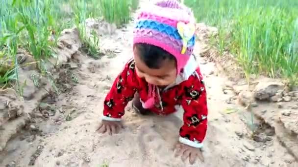 Dorp India Het Tarweveld Indiaas Dorp Baby Meisje Kruipen Spelen — Stockvideo