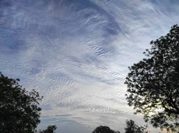 Beautiful View Indian Village Nature Beauty Photos Tree Cloud Bird — Stock Photo, Image