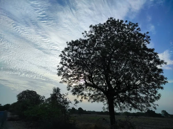 Прекрасний Вид Індійського Села Природа Краса Фотографії Дерево Хмара — стокове фото