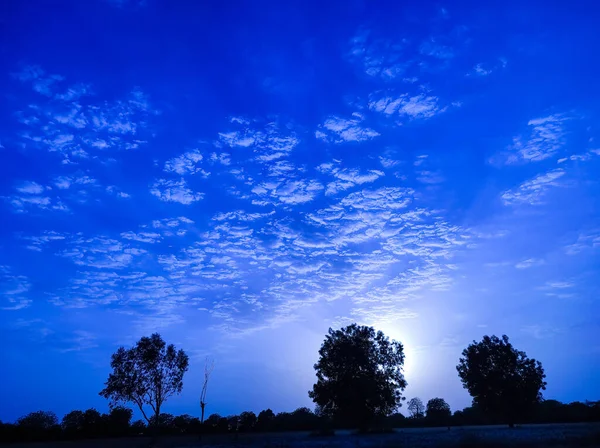 Beautiful Short Nature Beauty Background Tree Cloud Sunset Photos — Fotografia de Stock