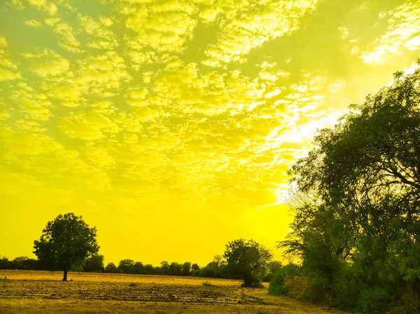 Beautiful Short Nature Beauty Background Tree Cloud Sunset Photos — Fotografia de Stock