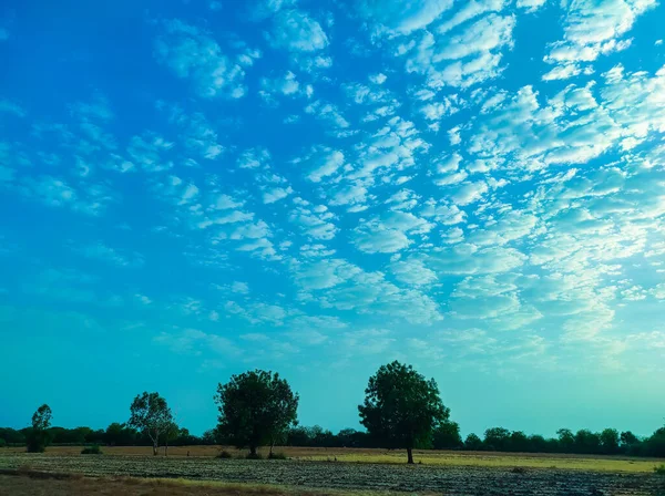 Beautiful Short Nature Beauty Background Tree Cloud Sunset Photos — Fotografia de Stock