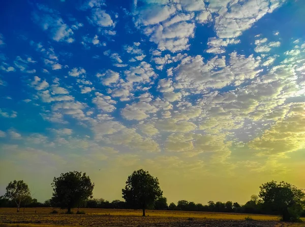 Beautiful Short Nature Beauty Background Tree Cloud Sunset Photos — Fotografia de Stock